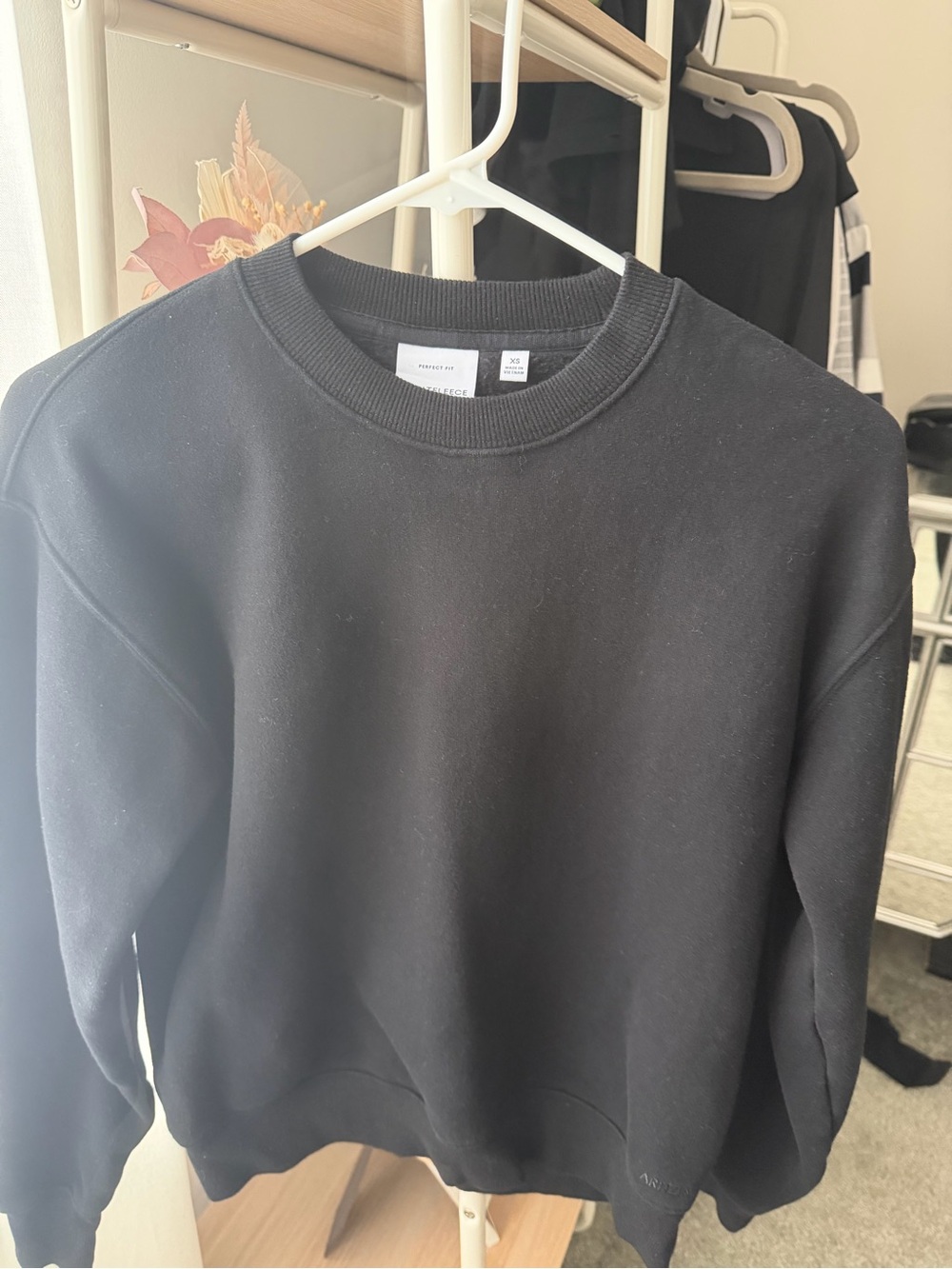 Aritzia Sweatfleece Crewneck Sweatshirt